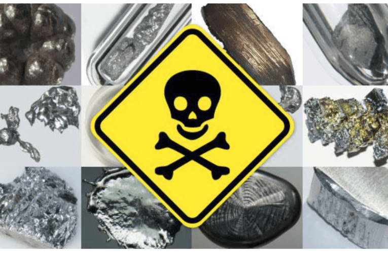 Take Control of Your Health at Home in Paradise – Know how Heavy Metals Affect You